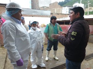Senasa - Inspección inopinada al matadero municipal de Andahuaylas
