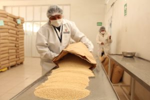 Senasa certificó 401 toneladas de quinua para exportación en el 2017