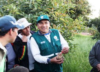 Cajamarca: SENASA promueve uso de controladores biológicos de plagas