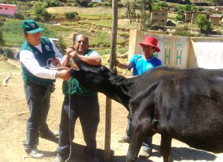 La Libertad: Acción Cívica por el día del Agricultor