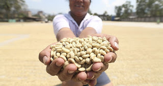 Las agroexportaciones suman US$ 1,493 mllns.