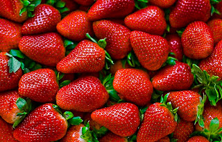 Retiran plaga de requisitos para importación de plántulas de fresas