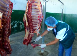 San Martín: SENASA realiza vigilancia sanitaria en mataderos y campos de cultivo