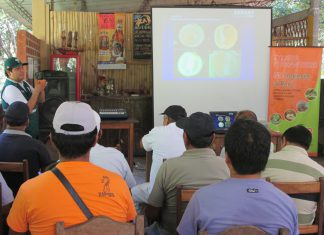 Junín: SENASA refuerza conocimiento de agricultores sobre el HLB