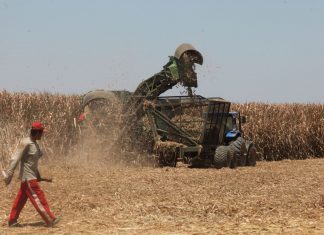 Industrialización del azúcar impulsaría creación de más empleo