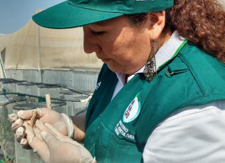 Ica: SENASA inspecciona zoocriadero de reptiles