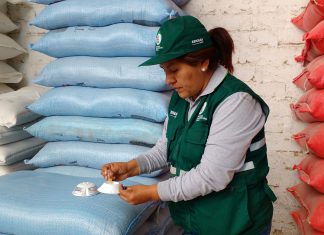 Ica: SENASA refuerza monitoreo preventivo en granos almacenados