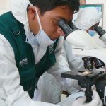 Observación microscópica en el laboratorio