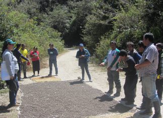 Pasco: desarrollo de ECA enfocada en el MIP del café en Paucartambo