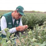 Ensayo eficacia 28 junio 086