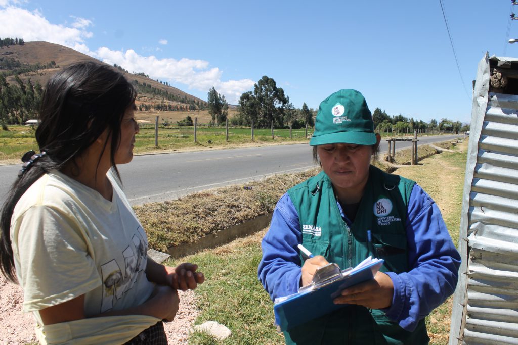 SENASA Cajamarca - Vacunación - Ántrax