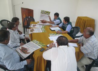 Piura: SENASA difunde plan de acción para controlar y erradicar caracol gigante africano