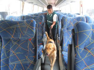 Inspección en puestos de control de Tacna