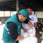 SENASA Arequipa – Sanidad Animal