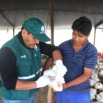 SENASA Arequipa – Sanidad Animal