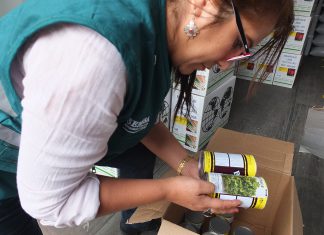 Lima: SENASA comisa doscientos kilos de semillas provenientes de EE.UU.