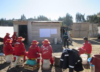 Junín: Capacitan a trabajadores municipales en control biológico