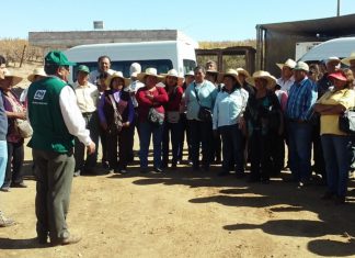 Arequipa: capacitan a ganaderos en buenas prácticas agropecuarias