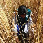 Prospección y evaluación de la plaga de roedores