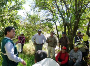 SENASA Apurímac - Capacitación Saraica