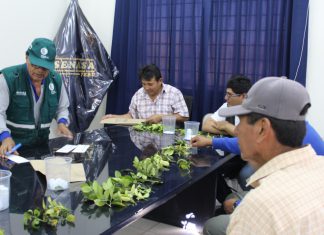 Moquegua: SENASA forma técnicos evaluadores en el uso de control biológico