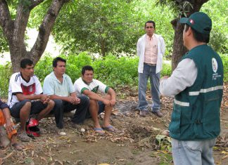 Tumbes: SENASA refuerza acciones de prevención contra moscas de la fruta