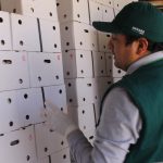 SENASA – Certificación exportación de ajos