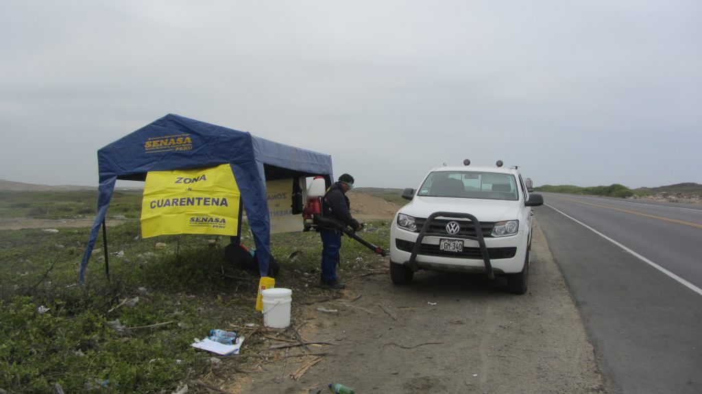 Simulacro de Fiebre Aftosa - Senasa