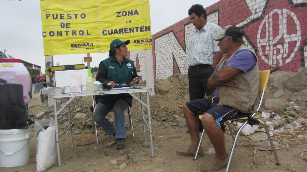 Simulacro de Fiebre Aftosa - Senasa