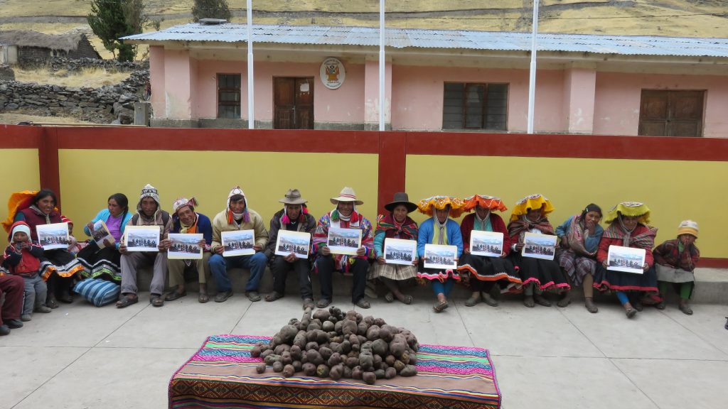 Escuela de Campo de Agricultores del SENASA Cusco
