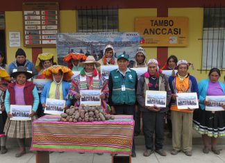 Cusco: SENASA impulsa el MIP en cultivo de papa en ECA de Ccarhuayo