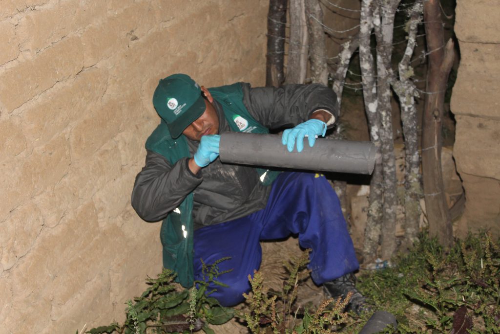 SENASA - Evaluación de plaga de roedores