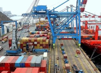 MINAGRI-SENASA mantienen gestiones para el ingreso de productos agropecuarios peruanos a China