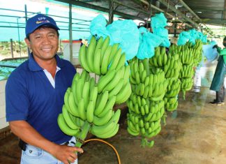 Incorporan Sistema de Garantía Participativo para certificación de productos orgánicos