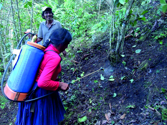 Escuelas de Campo del Senasa
