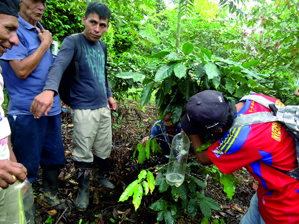 Escuelas de Campo del Senasa