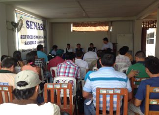 Amazonas: capacitación a personal agrario sobre plagas de los cítricos y café