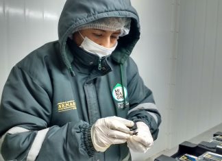 Ica: Senasa otorga certificado fitosanitario para exportación de arándanos a España