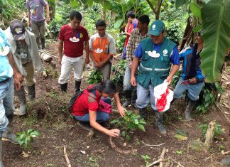 Amazonas: Senasa desarrolla ECA enfocada en el manejo integrado de plagas del café
