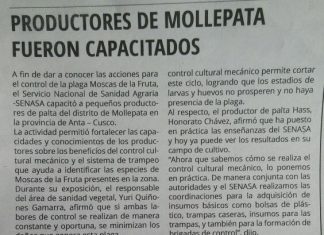 Senasa – Diario del Cusco: Productores de Mollepata fueron capacitados