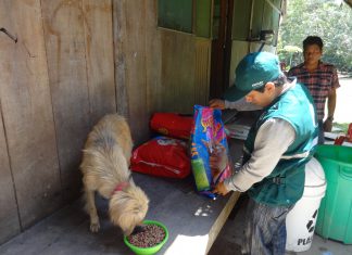Loreto: Senasa participa en inspección de centro de rehabilitación de animales