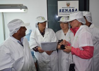 La Libertad: AQSIQ de China visitó zonas de producción y plantas de empaque de arándanos