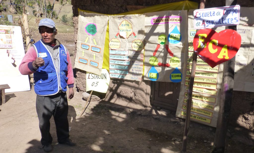 Senasa - Escuela de Campo Pacucha