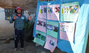 Senasa - Escuela de Campo Pacucha