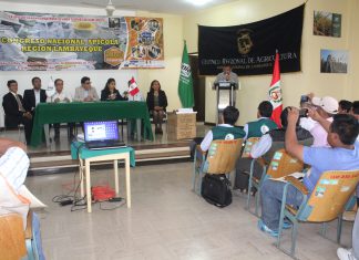 Lambayeque: resaltan labor del Senasa en beneficio de sanidad apícola