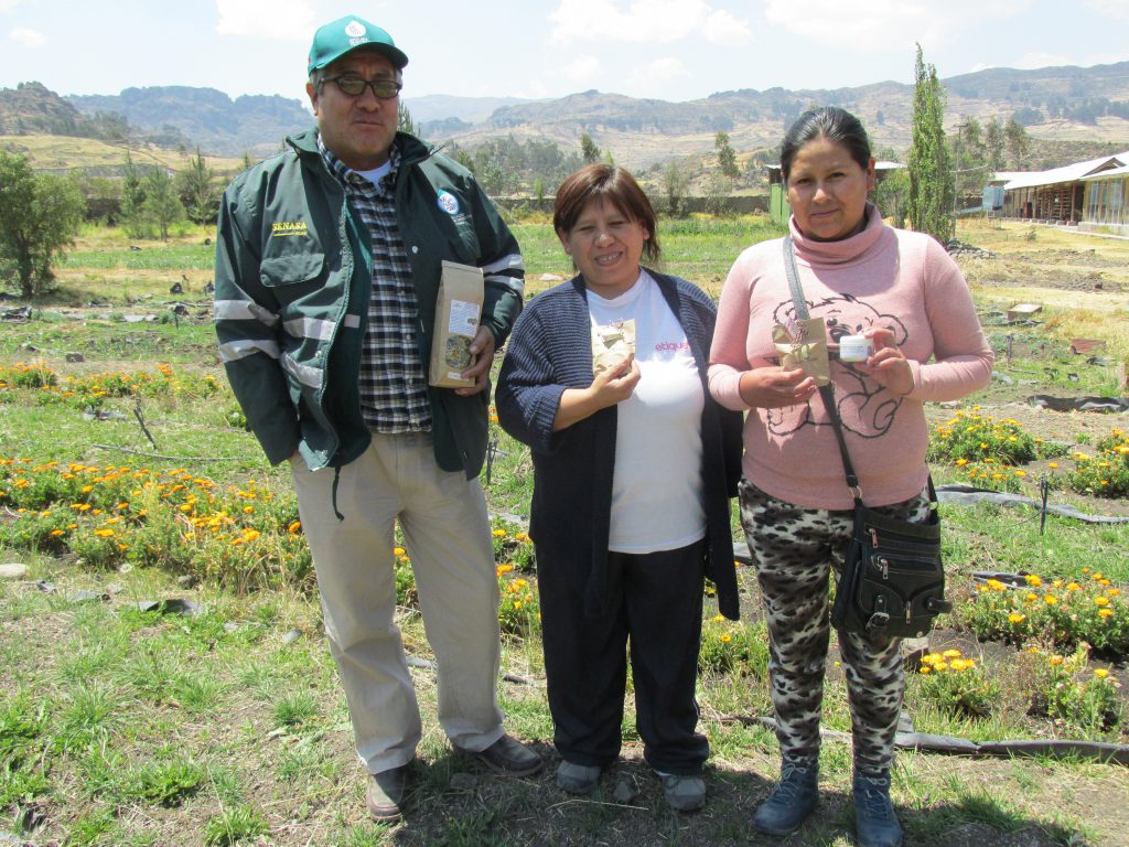 Producción orgánica en Ayacucho