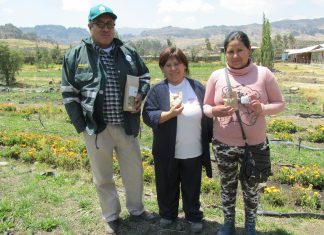 Ayacucho: Senasa supervisa operador orgánico en el distrito de Puquio