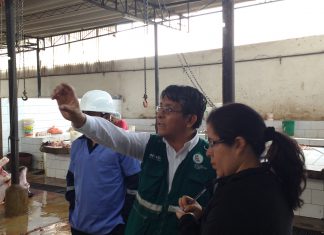 Lima: Senasa realizó evaluación sanitaria a instalaciones de Camal Municipal de Huaral
