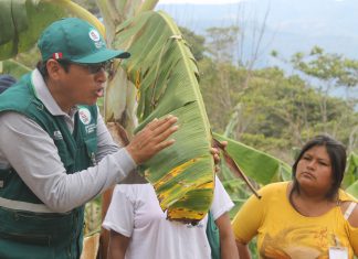 Junín: Escuela de Campo de la comunidad nativa de Alto Marankiari
