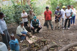 ECA Triunfadores de Alto Marankiari’